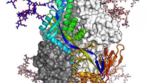 Learn Bioinformatics From Scratch (Theory & Practical)