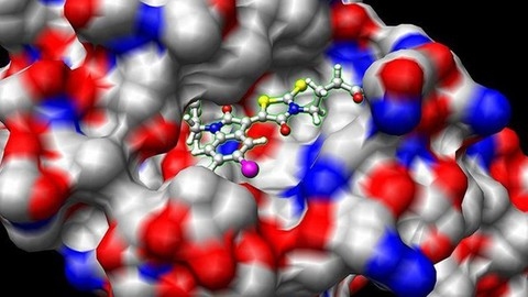 Bioinformatics; Learn Docking & Mol Dynamics Simulation