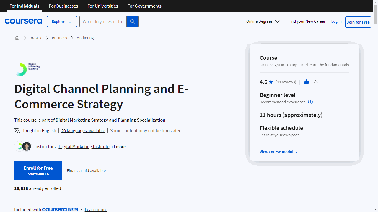 Digital Channel Planning and E-Commerce Strategy