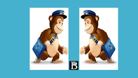 Mailchimp tutorial : Step by step in depth