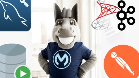 Mulesoft | An In-depth & Extensive Tutorial for Beginners