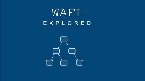 Netapp ONTAP WAFL explored