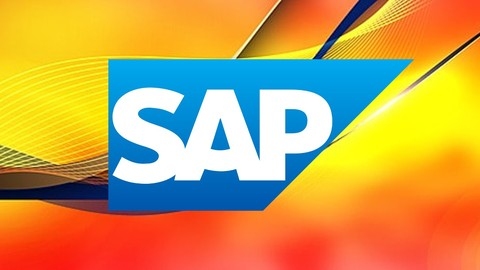 C_ARP2P_2308 - SAP Certified Associate - SAP Ariba