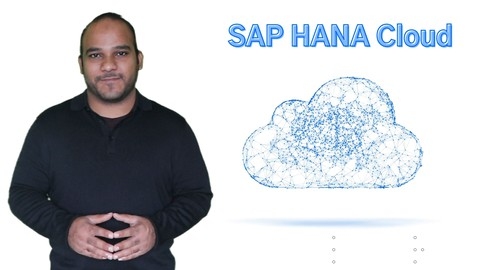 Getting Started with SAP HANA Cloud (with your own Instance)